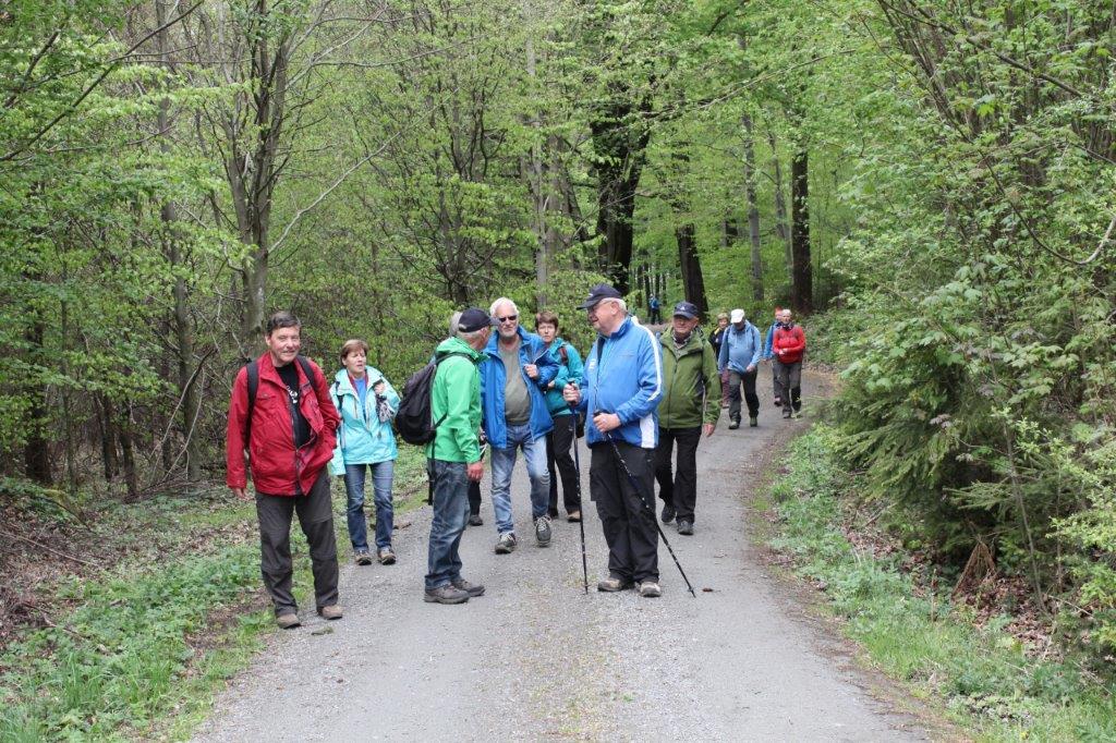 Wanderung von Neustadt/ Sachsen nach Sebnitz am 27.04.2019 SV Elbland